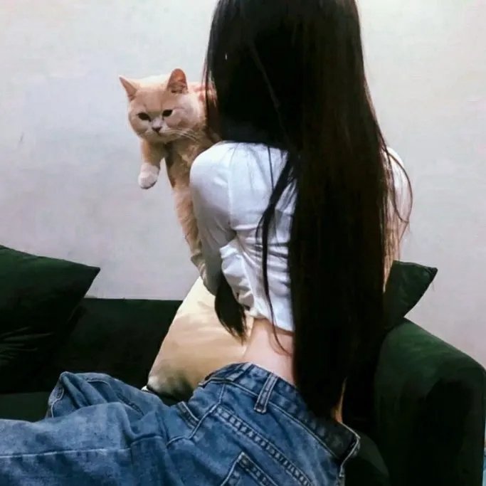 一路不顺风